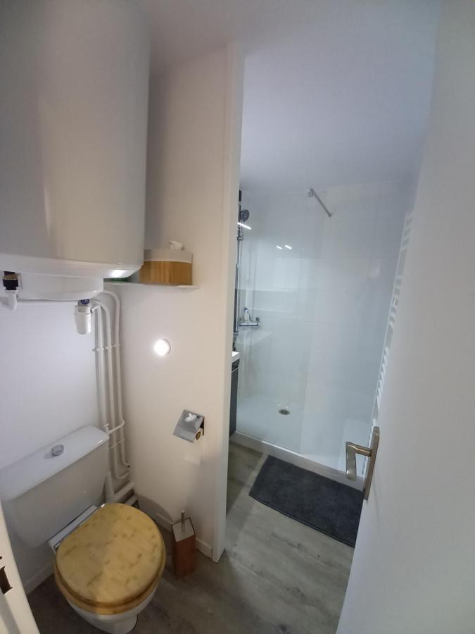 Appartement Cabine St-Lary-Soulan, Calme, Entierement Renove Saint-Lary-Soulan Exteriér fotografie